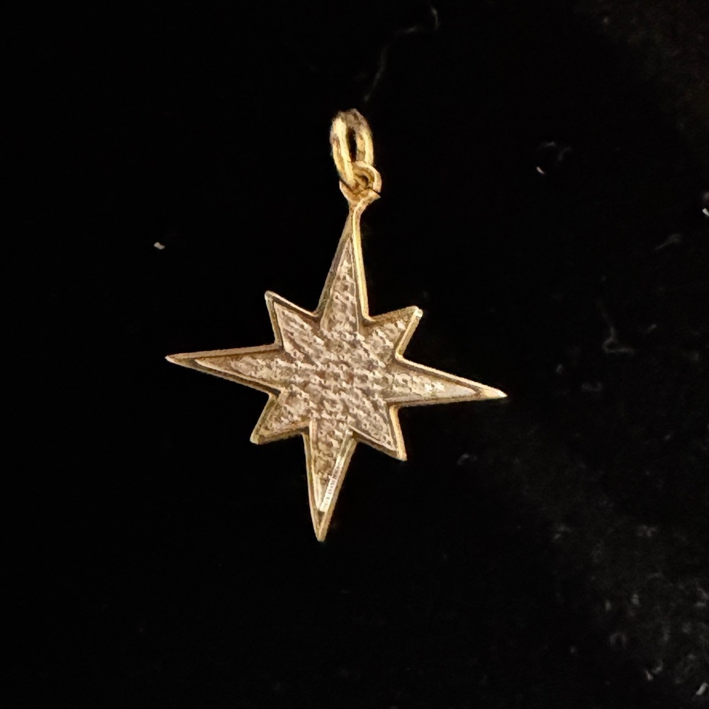 10k yellow gold diamond pave star pendant - Picture 3 of 5